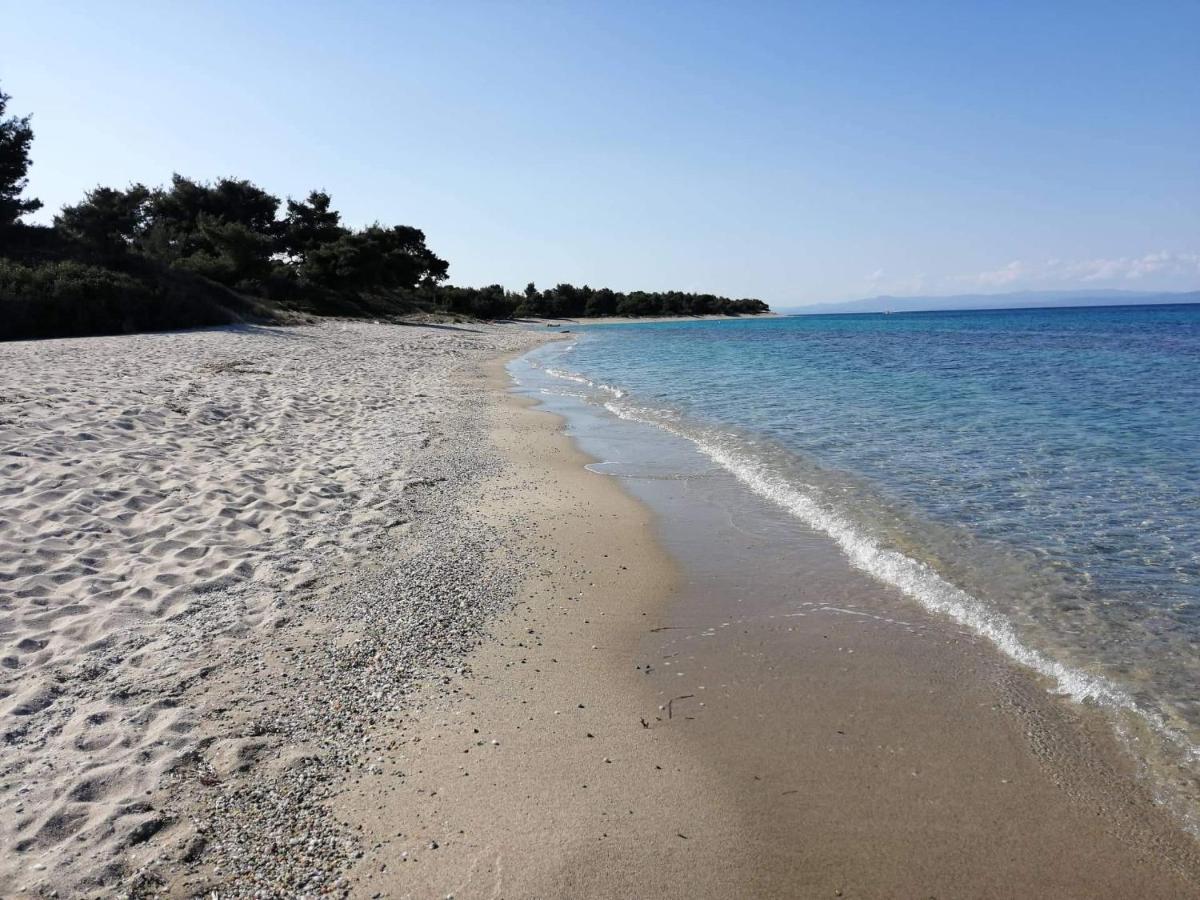 Seagull Villa Chalkidiki بيفكوهوري المظهر الخارجي الصورة