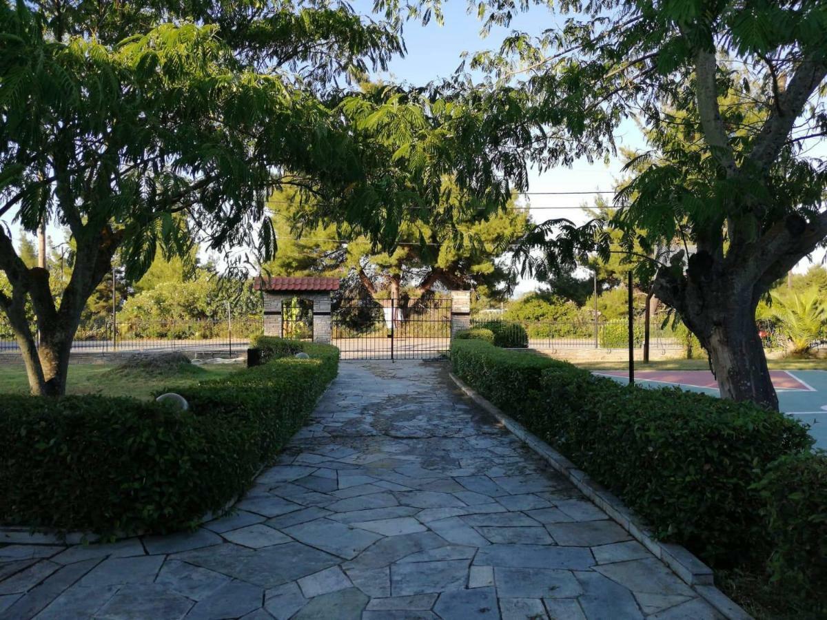 Seagull Villa Chalkidiki بيفكوهوري المظهر الخارجي الصورة